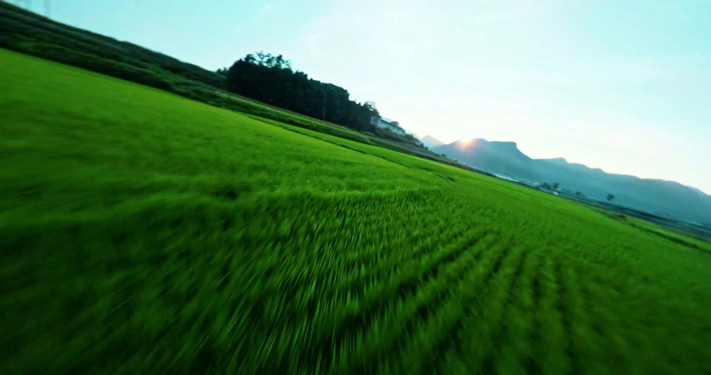 Shuttling through the boundless green waves